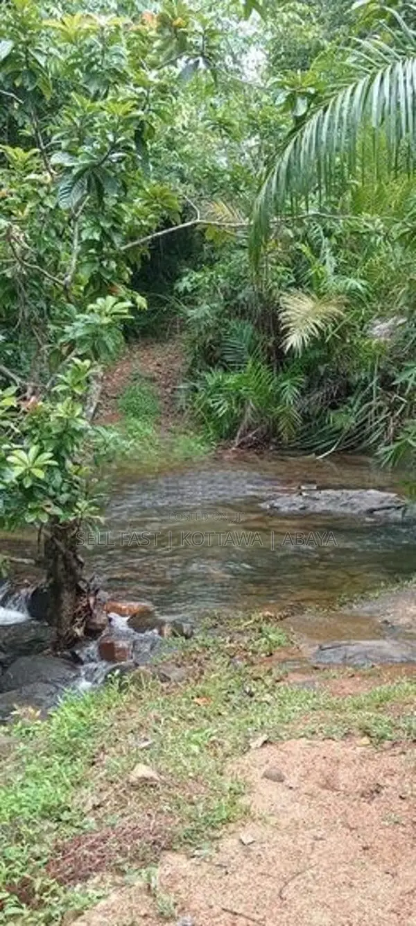 Land For Sale in Avissawella