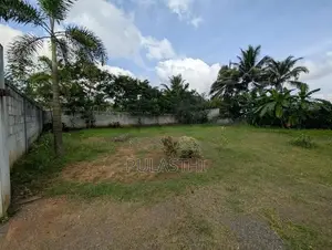 Warehouse with Land for Rent Homagama