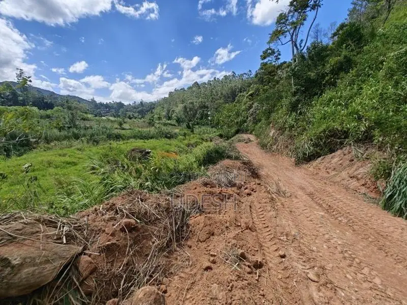 Land in Bandarawela for Sale