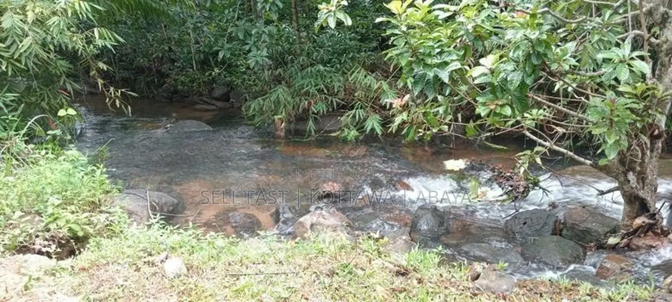 Land For Sale in Avissawella