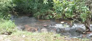 Land For Sale in Avissawella