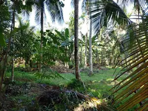 Land for Sale in Nittambuwa
