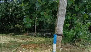 කඩවත - වැලිපිල්ලෑවෙන් ⁣ඉඩමක් විකිණීමට