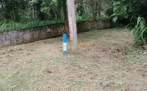 කඩවත - වැලිපිල්ලෑවෙන් ⁣ඉඩමක් විකිණීමට