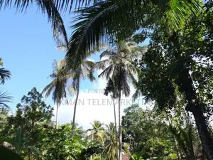 Land for Sale in Nittambuwa