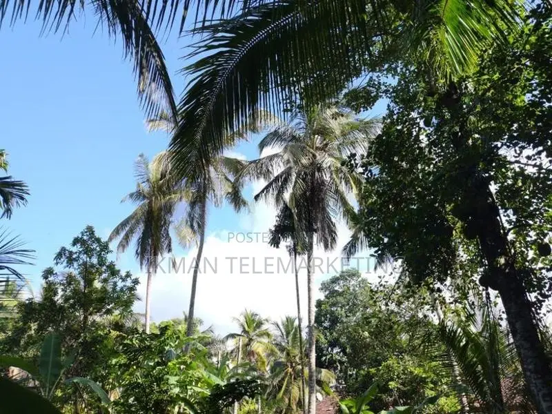 Land for Sale in Nittambuwa