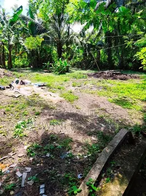 Land for Sale Molligoda Wadduwa
