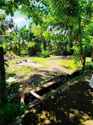 Land for Sale Molligoda Wadduwa