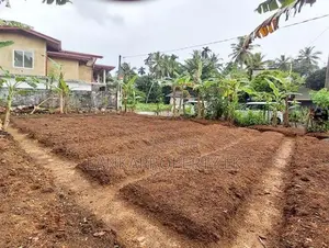 Valuable Land for Sale in Pitipana, Homagama