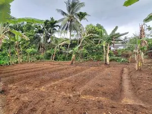 Valuable Land for Sale in Pitipana, Homagama