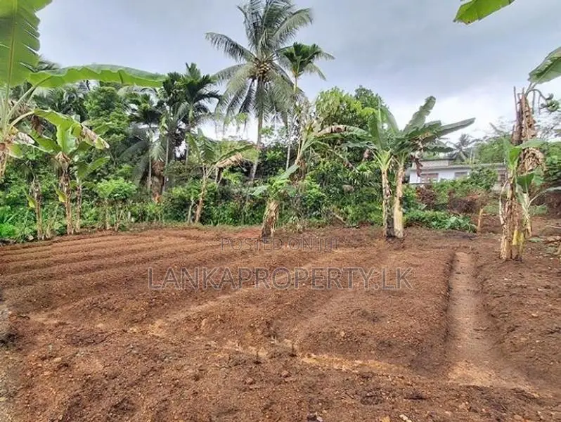 Valuable Land for Sale in Pitipana, Homagama