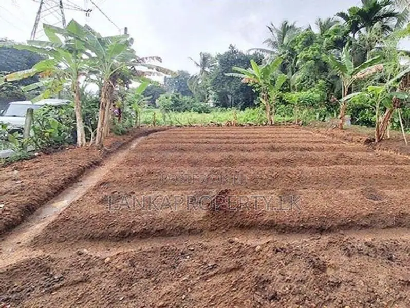 Valuable Land for Sale in Pitipana, Homagama