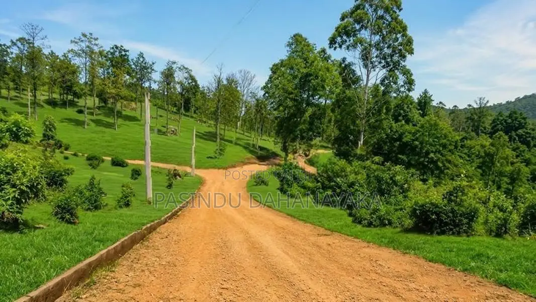 Land for Sale Welimada
