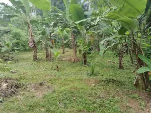 ලෝලුවාගොඩ පර්චස් 15 ක්