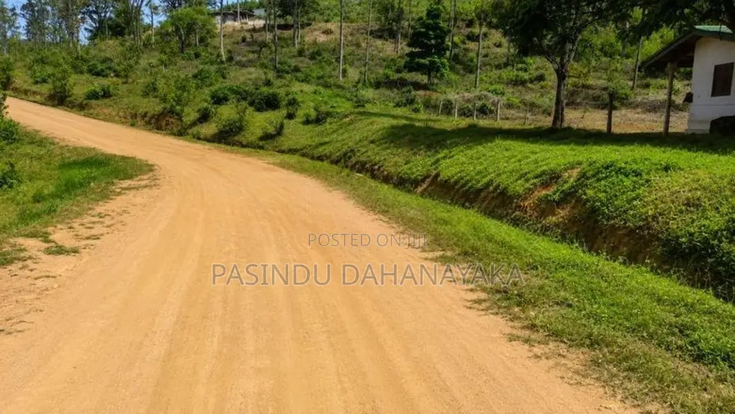 Land for Sale Welimada