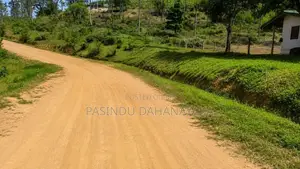 Land for Sale Welimada