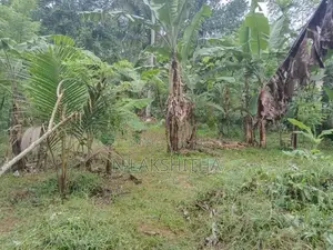 ලෝලුවාගොඩ පර්චස් 15 ක්