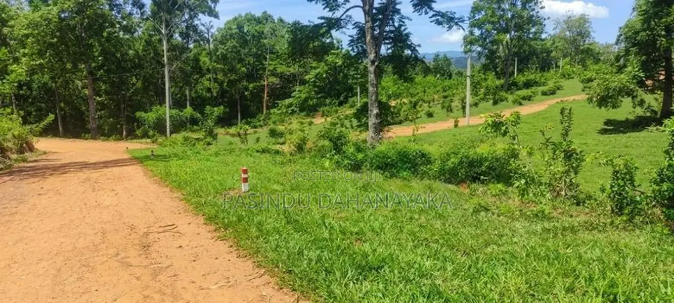 Land for Sale Welimada