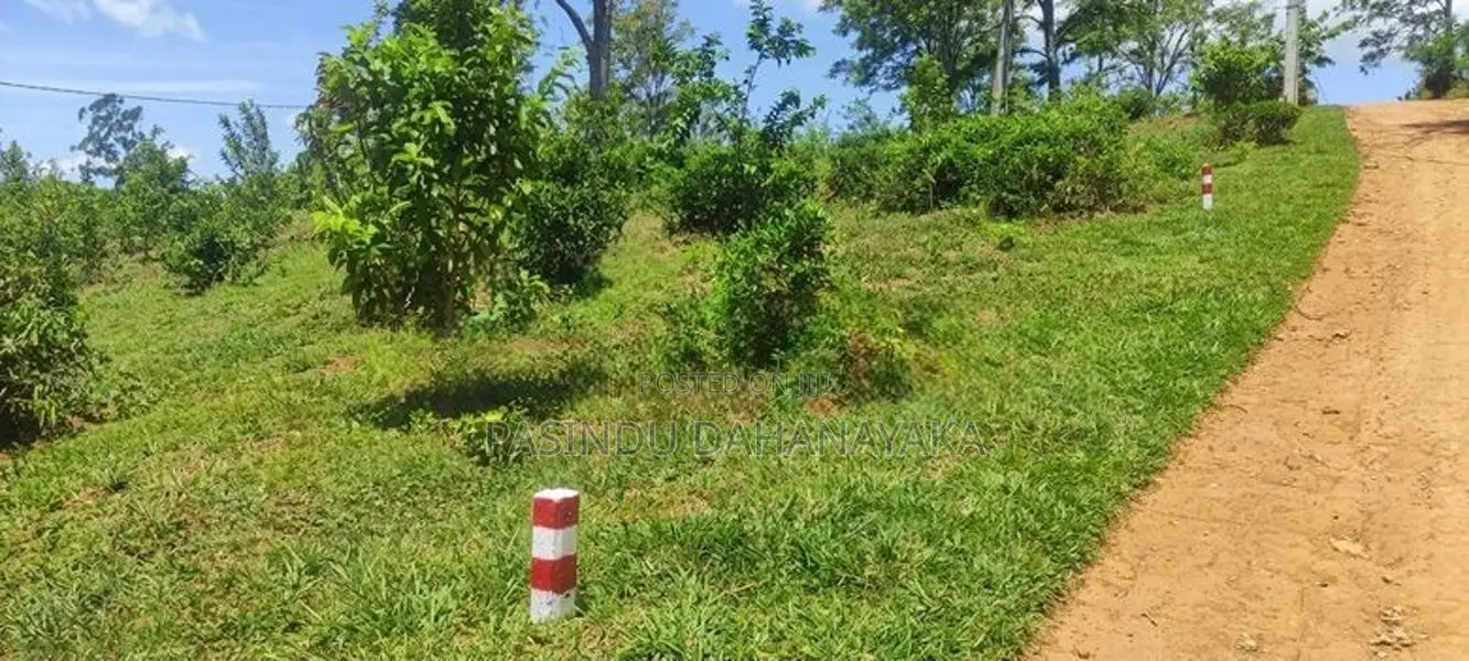 Land for Sale Welimada