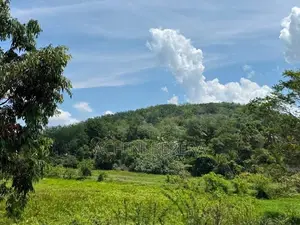 1.5 Acres Land for Sale - Habarakada Ranala