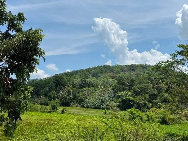 1.5 Acres Land for Sale - Habarakada Ranala