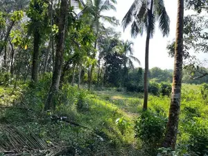 1.5 Acres Land for Sale - Habarakada Ranala