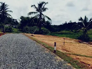 සුන්දර කෙත් යායකට මායිම්ව පනාගොඩින් අගනා බිම් කොටස්