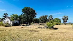 Land For Sale pottuvil
