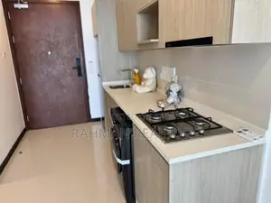 Luxury Brand New Furnished Apartment for Rent at Trizen in Colombo 02