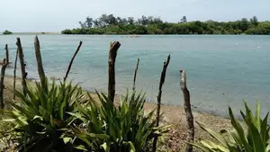 Beach Land for Sale in Nilaveli