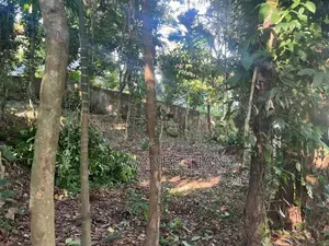 Land for Sale Yatiwawala