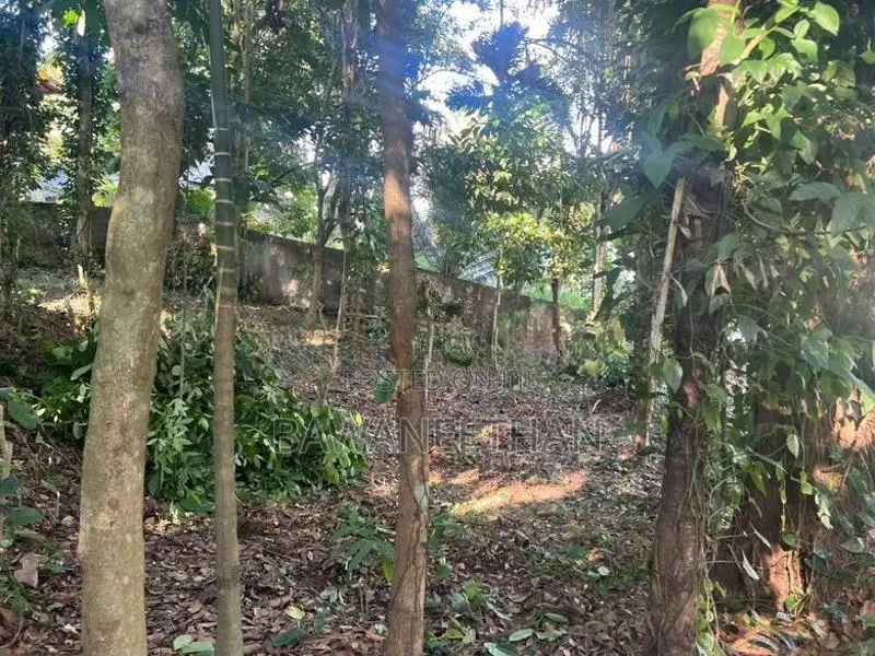 Land for Sale Yatiwawala