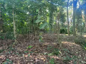 Land for Sale Yatiwawala
