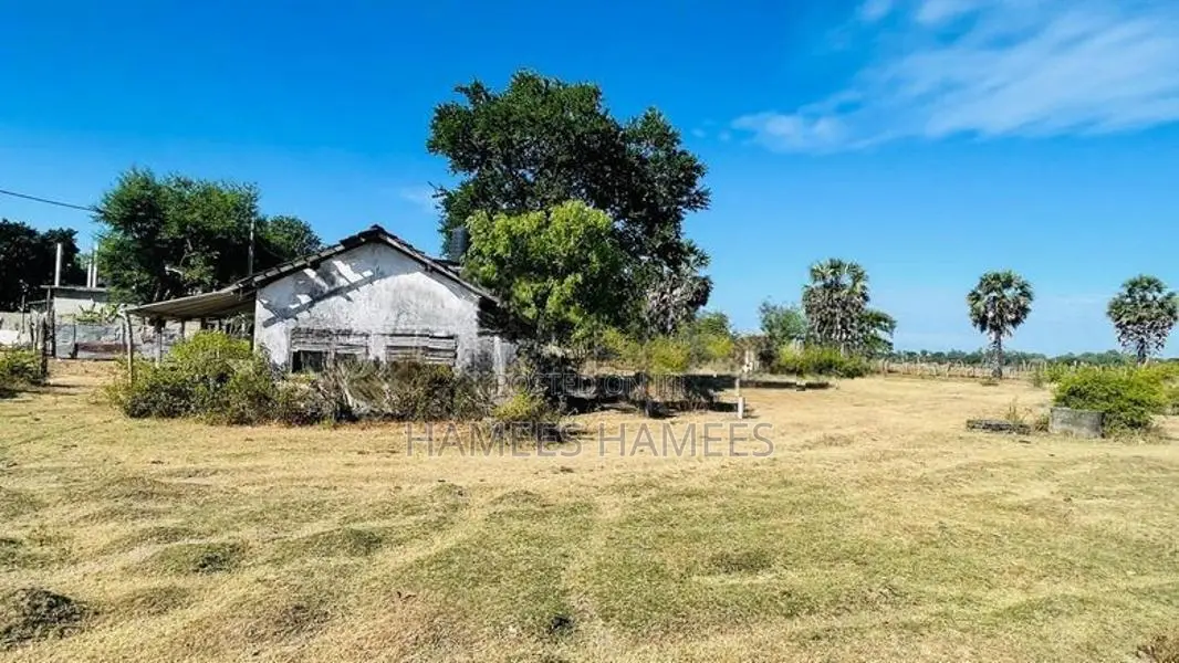 Land for sale - Arugam Bay