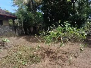 Land for sale in gampaha miriswatta