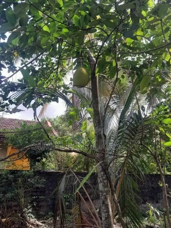 Land for sale in gampaha miriswatta