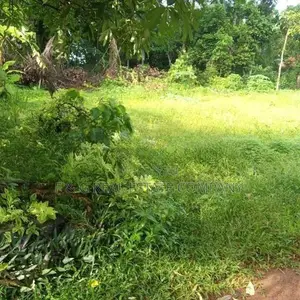 Divulapitiya Ullalapola Land for Sale