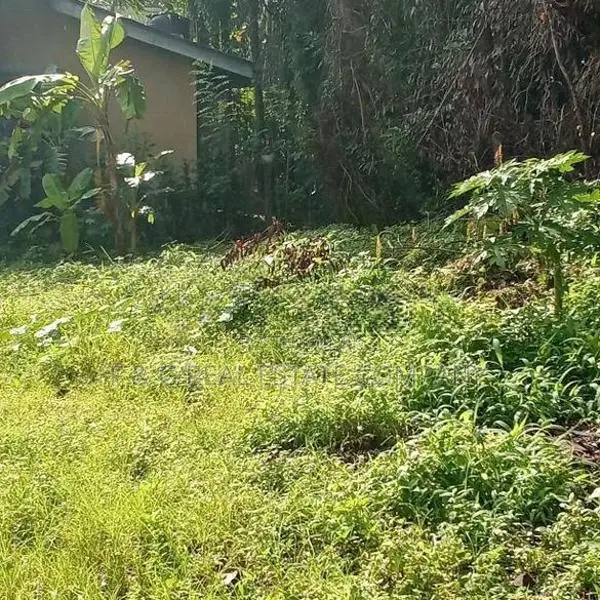 Divulapitiya Ullalapola Land for Sale