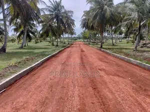 නාච්චාදූව සුන්දර පරිසරයකින් සමන්විත අගනා බිම්කොටස්