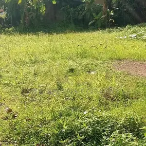 Divulapitiya Ullalapola Land for Sale