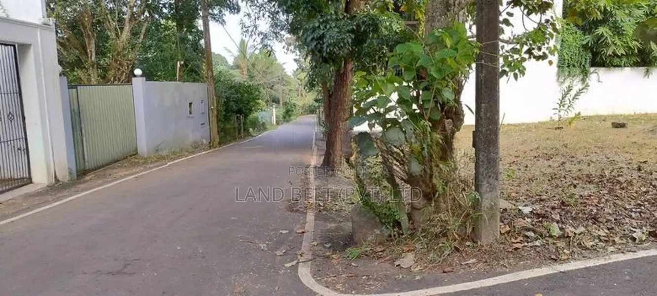 Lake Road Land For Sale In Palawattha