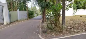 Lake Road Land For Sale In Palawattha