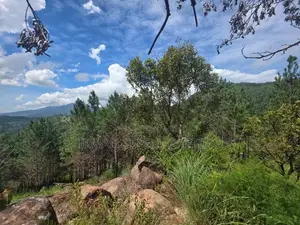 Prime Commercial Land for Sale in Kithal Ella, Ella