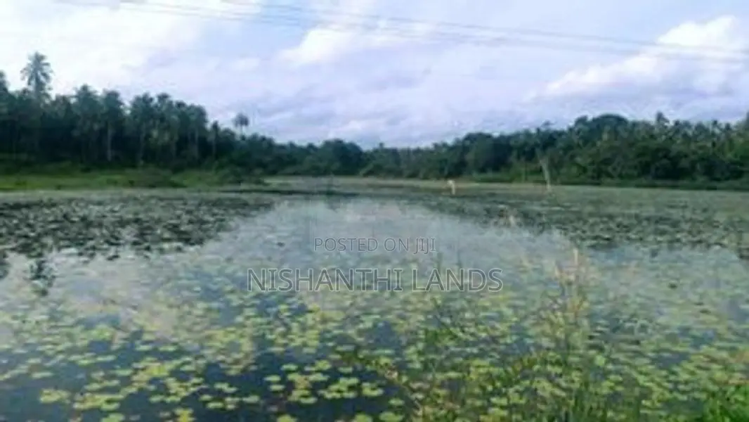 Valuable Land for Sale in Minuwangoda
