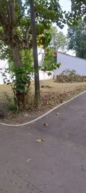 Lake Road Land For Sale In Palawattha