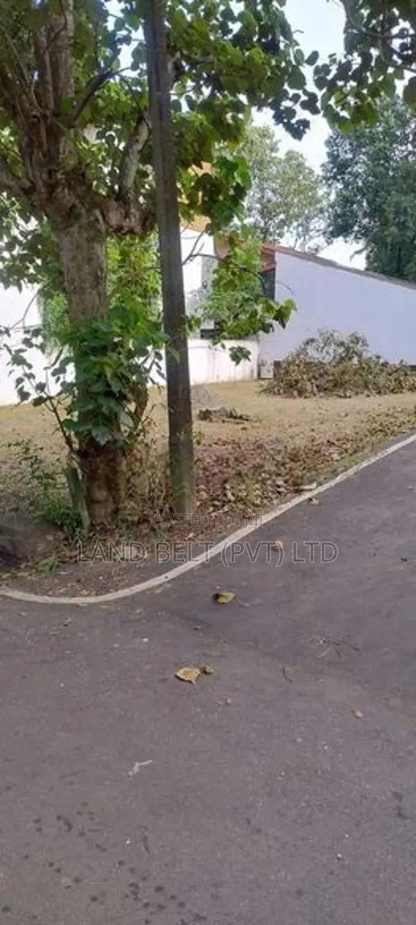 Lake Road Land For Sale In Palawattha