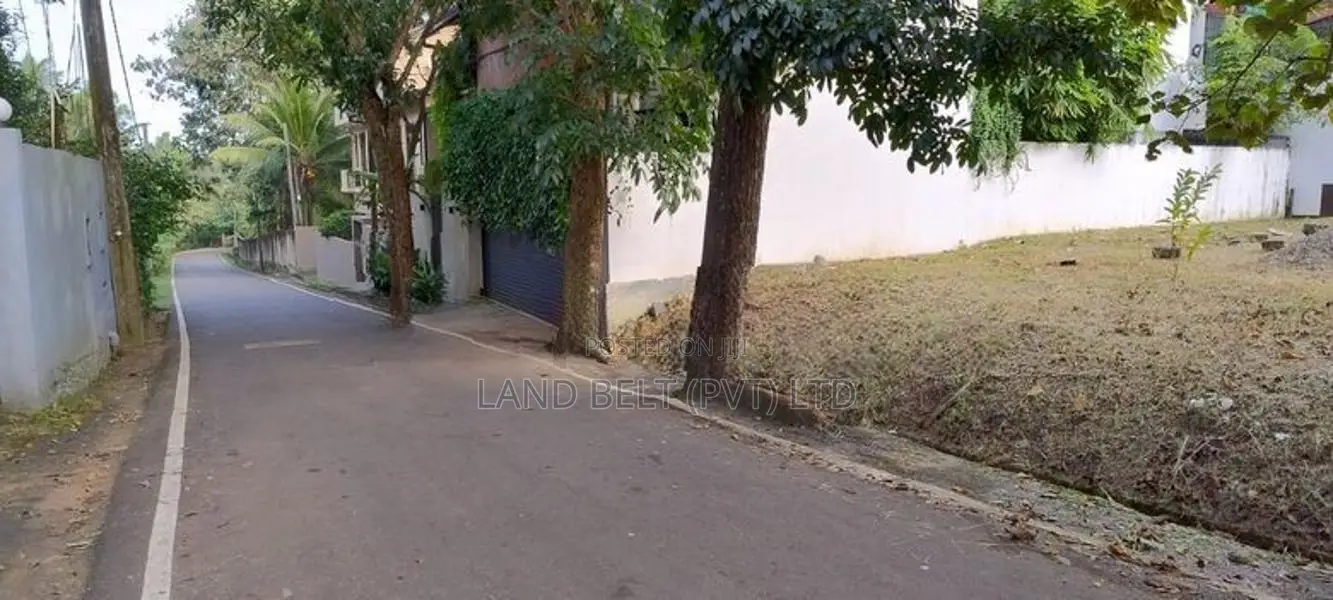 Lake Road Land For Sale In Palawattha