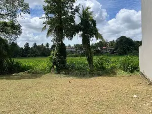 Pannipitiya Mahalwarawa 13 Perches Land - Near Paddy Field