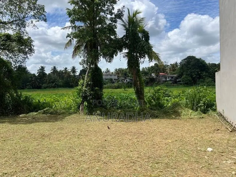 Pannipitiya Mahalwarawa 13 Perches Land - Near Paddy Field