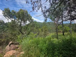 Prime Commercial Land for Sale in Kithal Ella, Ella